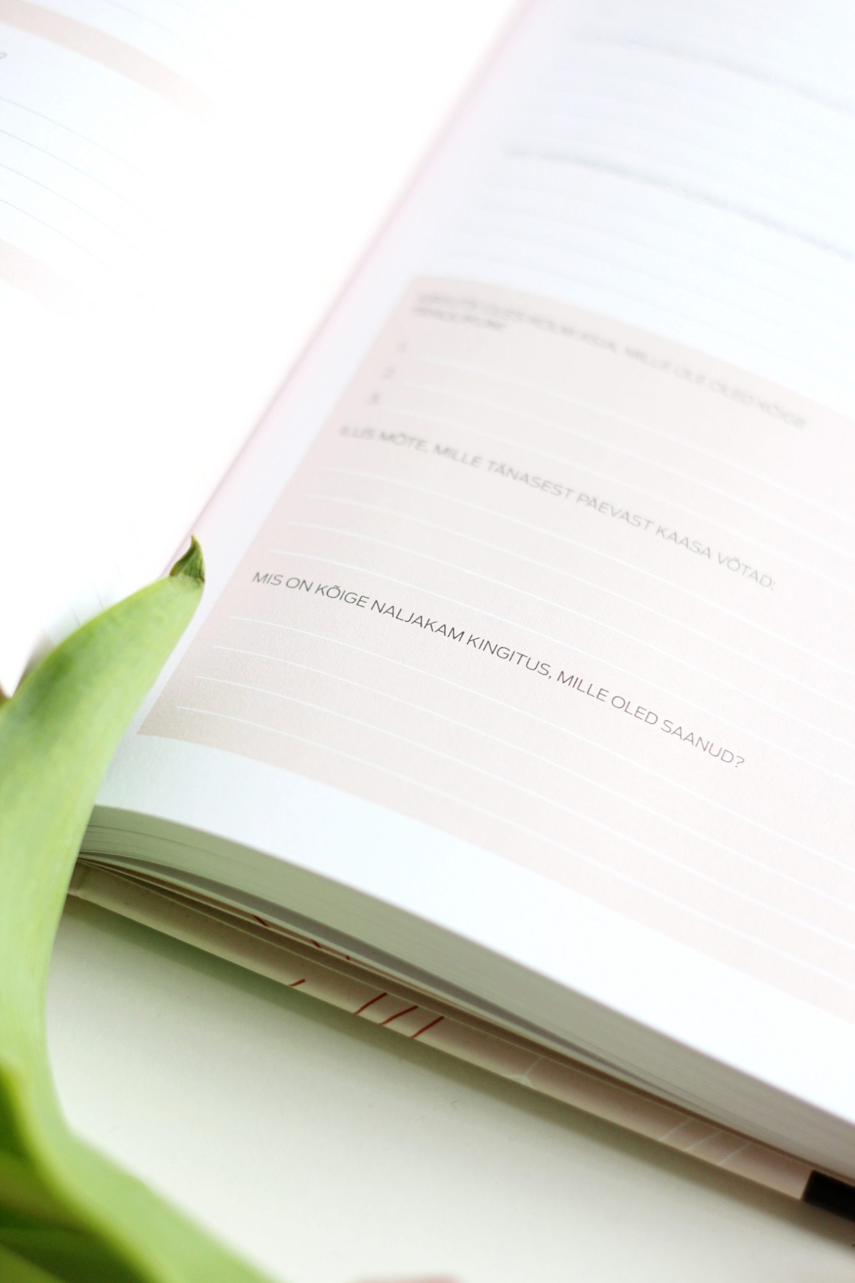 Happy Journal: Ljubav prema sebi - Slika 22