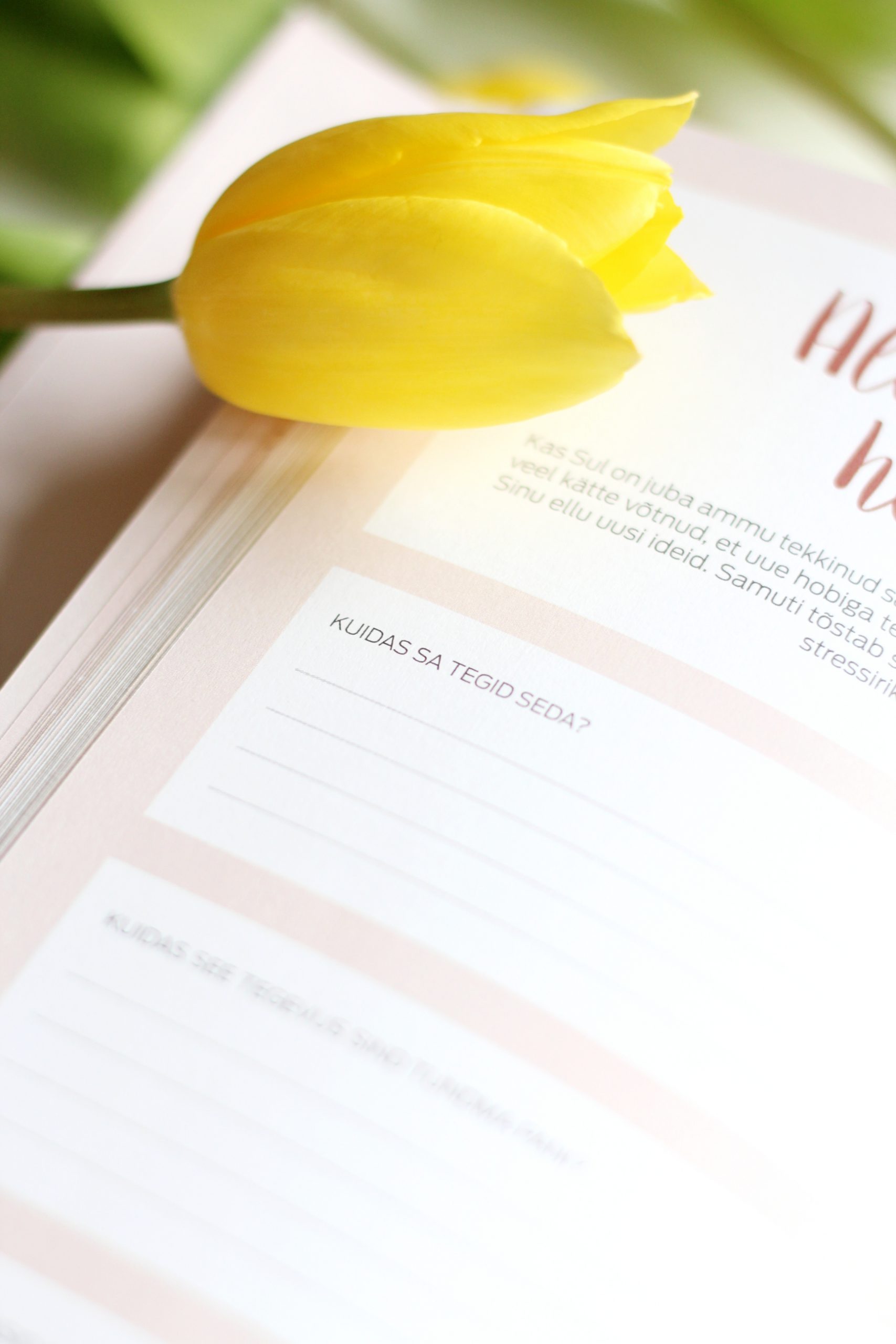 Happy Journal: Ljubav prema sebi - Slika 21