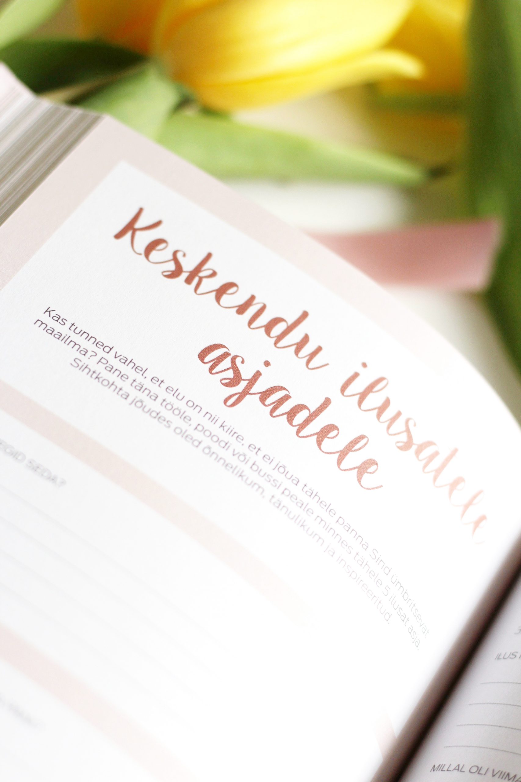 Happy Journal: Ljubav prema sebi - Slika 11