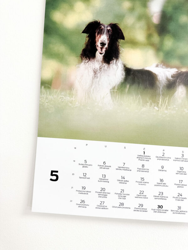 Veseli kalendar 2025 - Veseli psi (Zidni A3 kalendar) - Slika 2